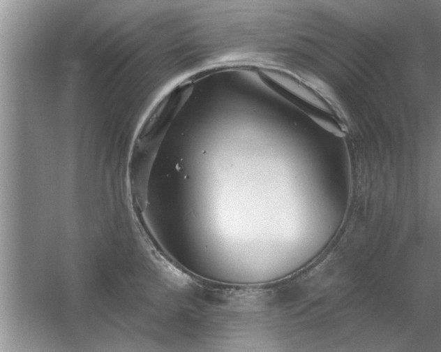 X0000058831288200510071811