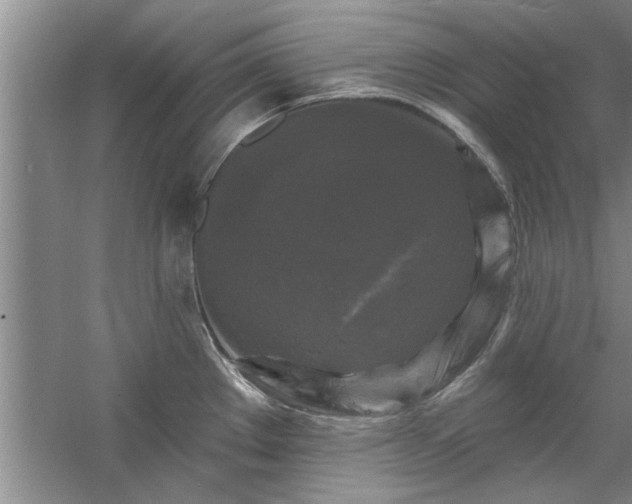 X0000058831289200510071811