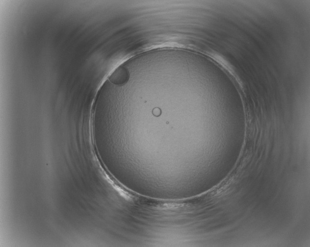 X0000058831290200510071811