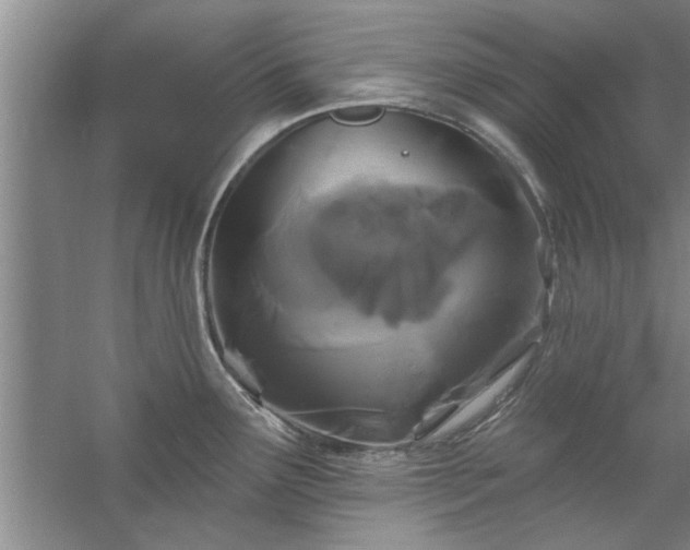 X0000058831291200510071811