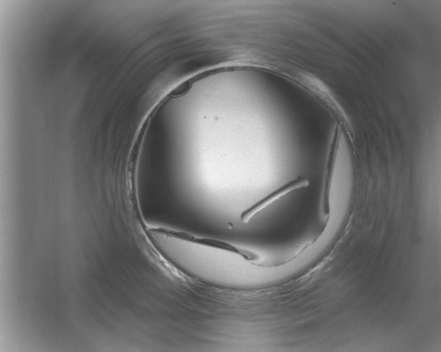 X0000058831292200510071811