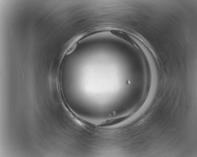 X0000058831293200510071811