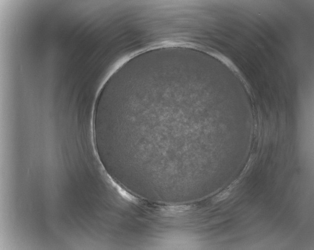 X0000058831294200510071811