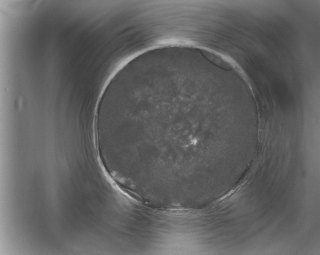 X0000058831295200510071811