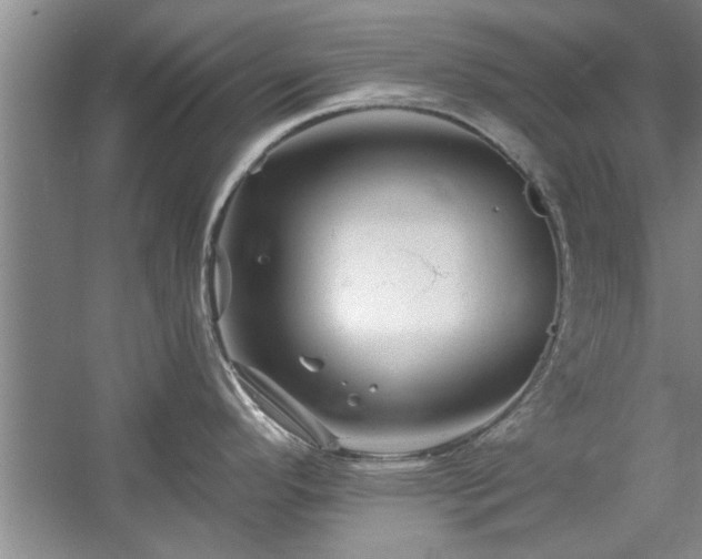 X0000058831296200510071811