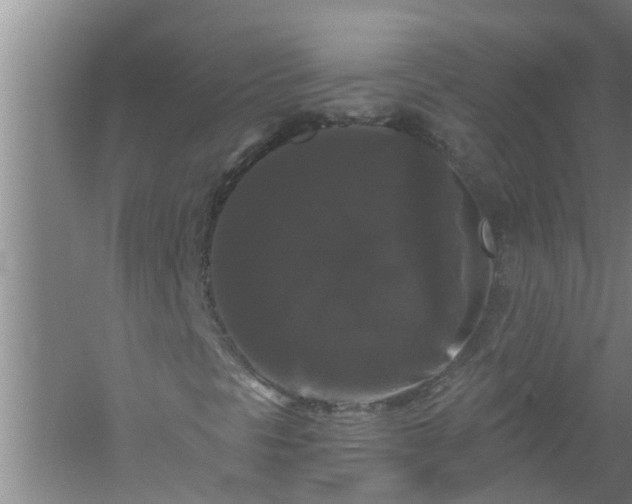 X0000058831297200510071810