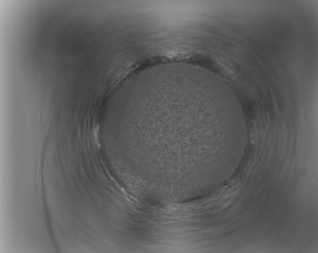 X0000058831298200510071810