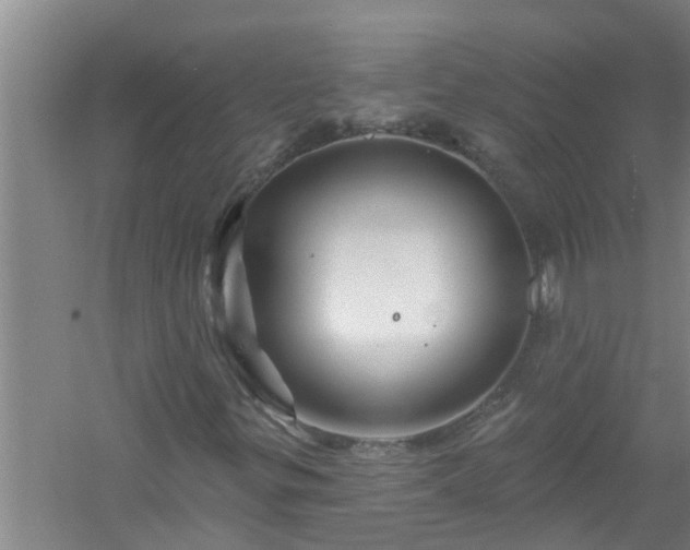 X0000058831299200510071810