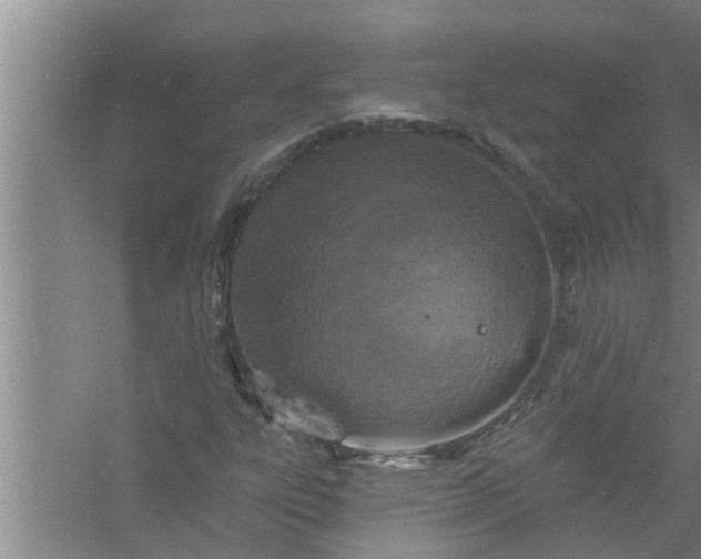 X0000058831303200510071810