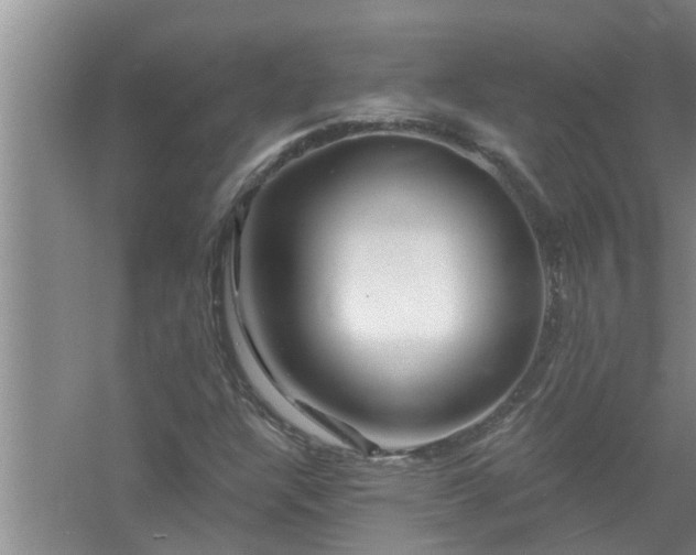 X0000058831304200510071810