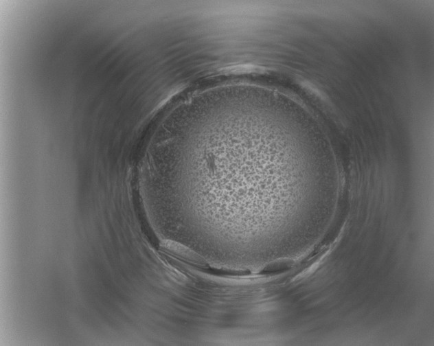 X0000058831305200510071810