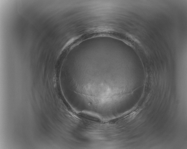 X0000058831306200510071810