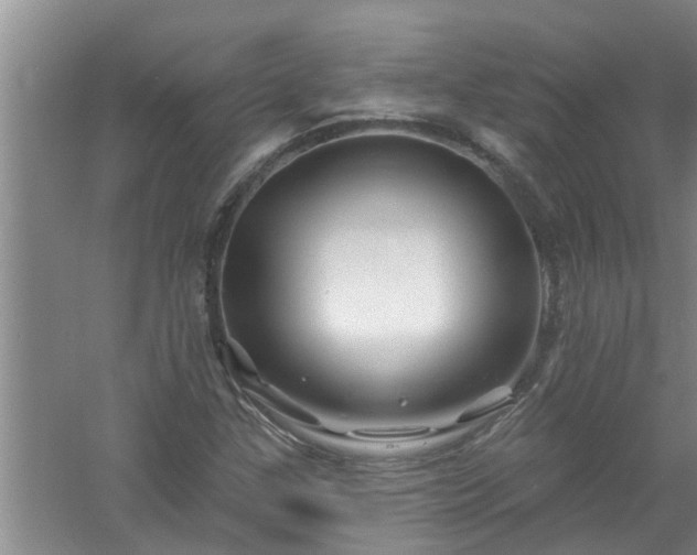 X0000058831307200510071810