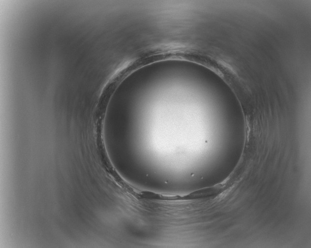 X0000058831309200510071810