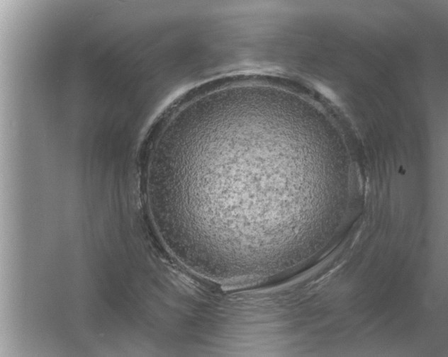 X0000058831310200510071810