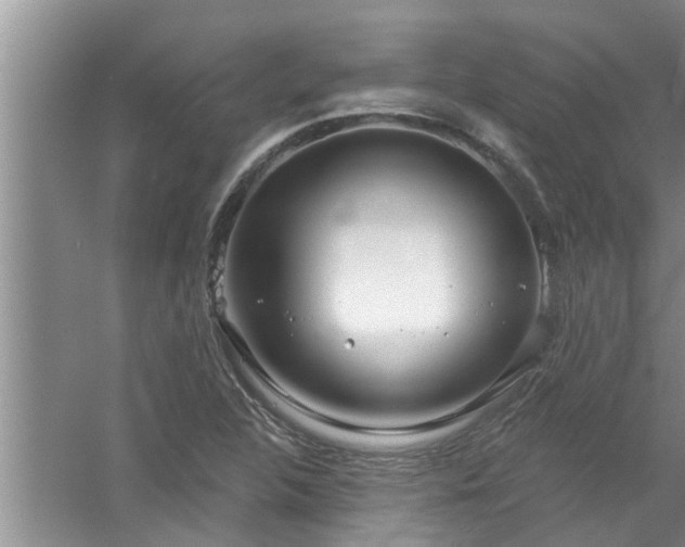 X0000058831312200510071810