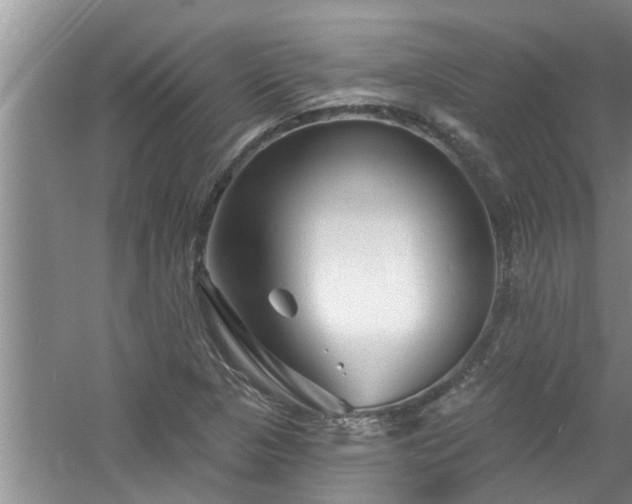 X0000058831313200510071810