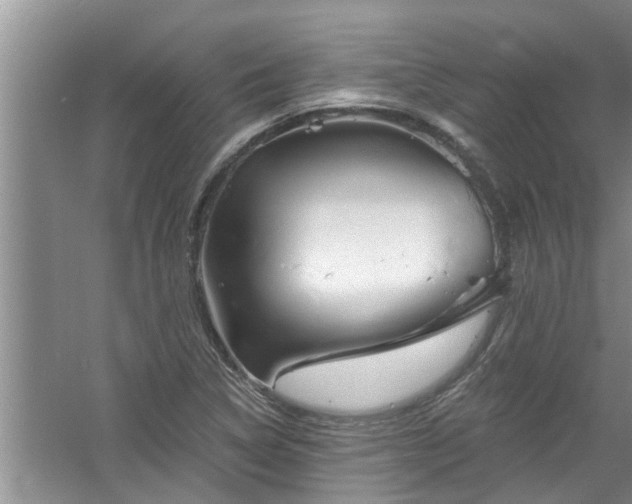 X0000058831314200510071810