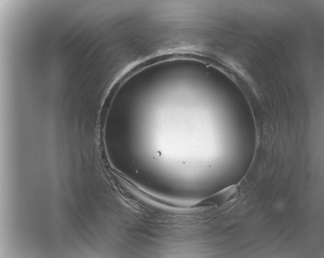 X0000058831316200510071810