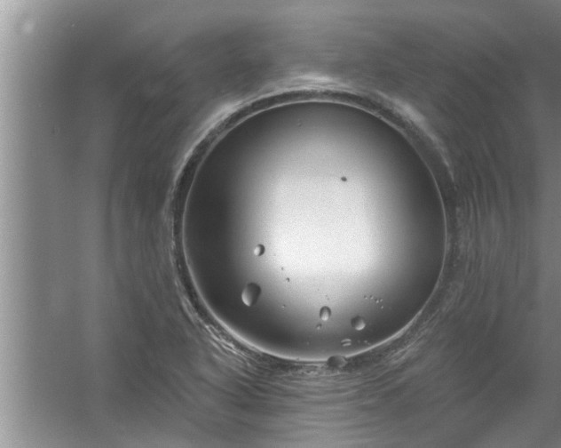 X0000058831318200510071811