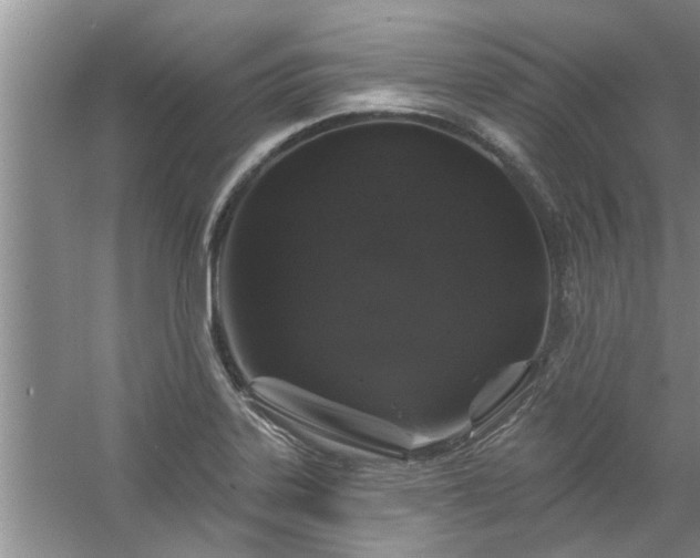 X0000058831323200510071811