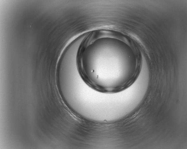 X0000058831324200510071811