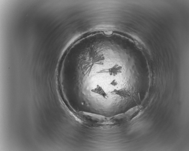 X0000058831325200510071811