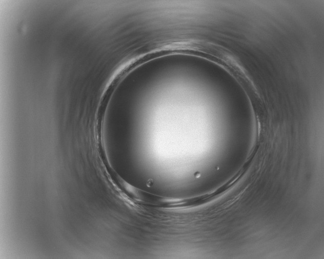 X0000058831328200510071811