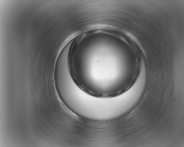 X0000058831330200510071811