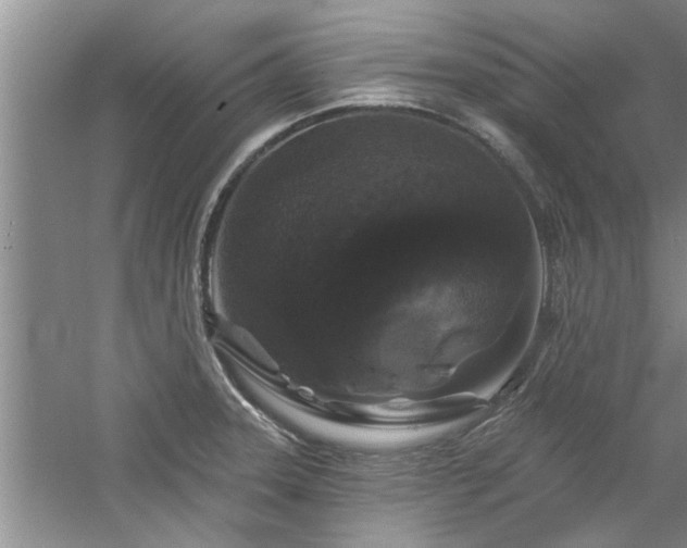 X0000058831331200510071811