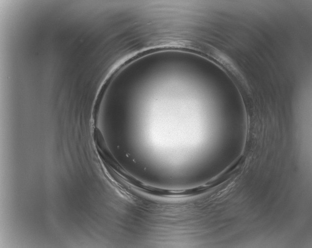 X0000058831332200510071811