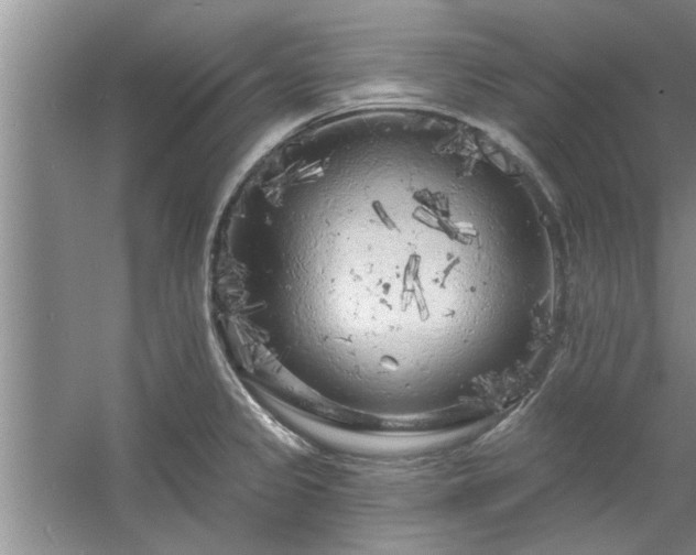 X0000058831333200510071811