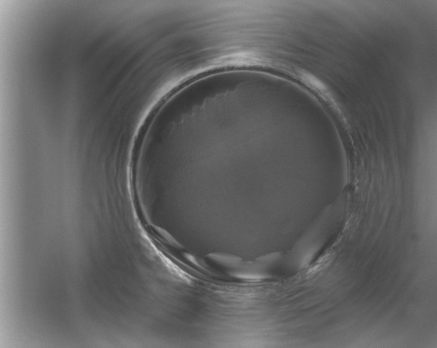 X0000058831334200510071811