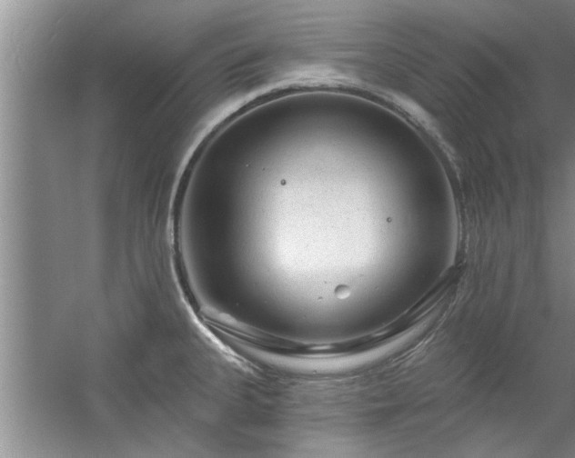 X0000058831335200510071811