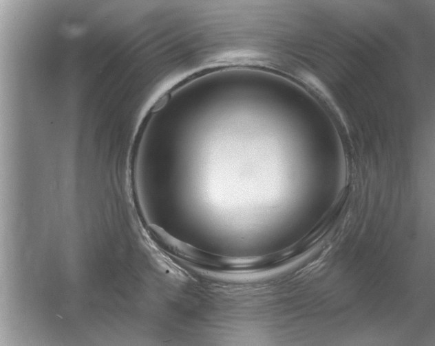 X0000058831336200510071811