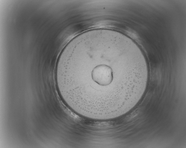 X0000058831338200510071811