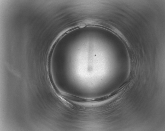 X0000058831339200510071811