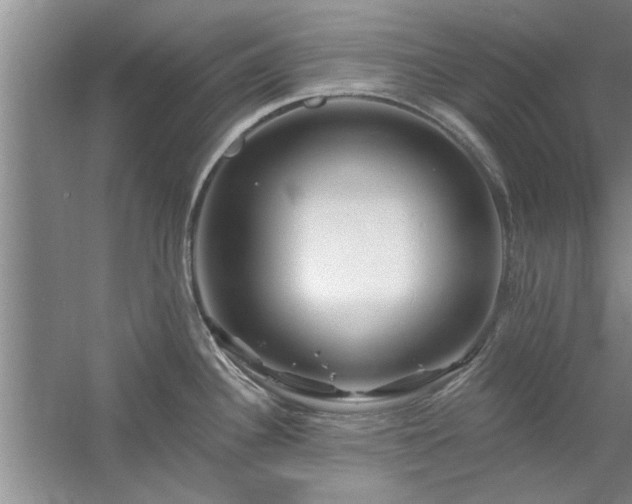 X0000058831340200510071811