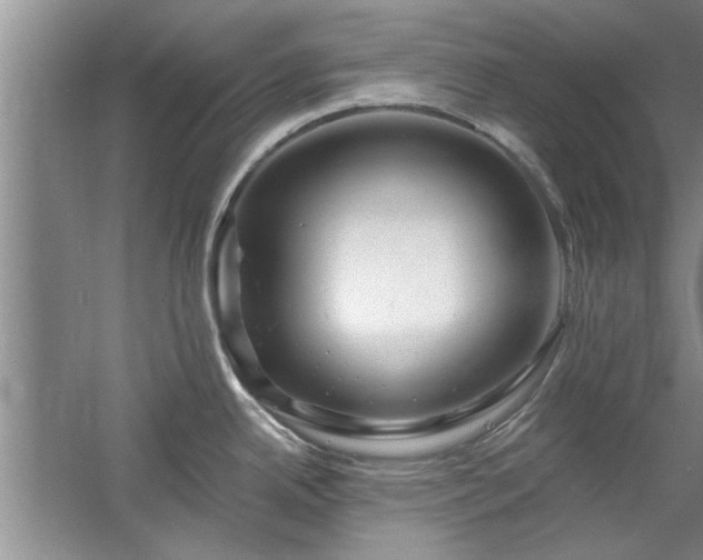 X0000058831342200510071811