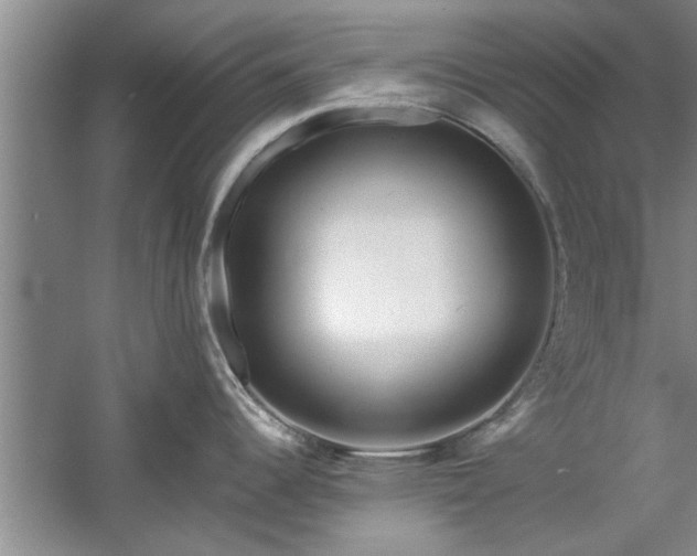 X0000058831344200510071811