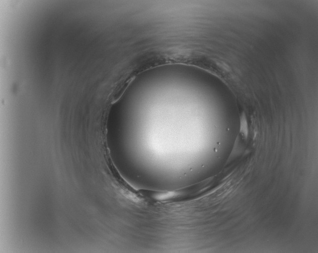 X0000058831345200510071810