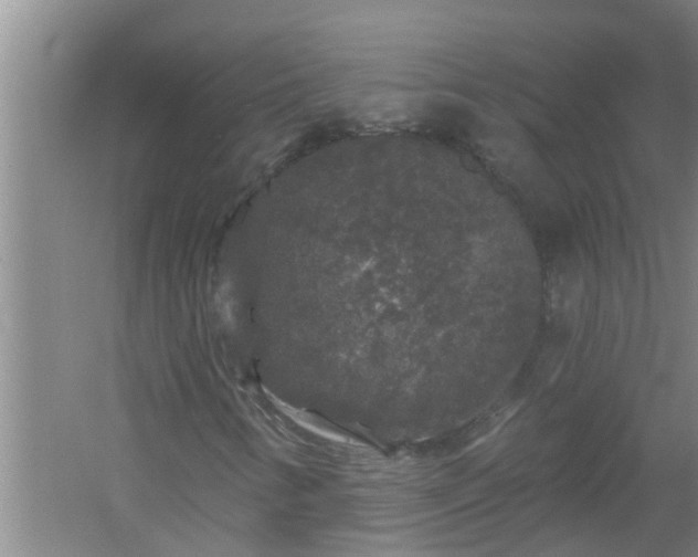 X0000058831346200510071810