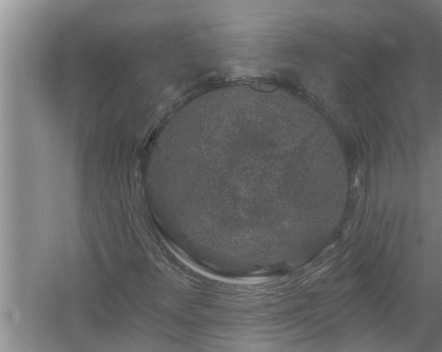 X0000058831348200510071810