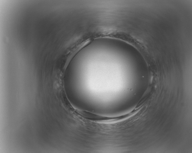 X0000058831349200510071810