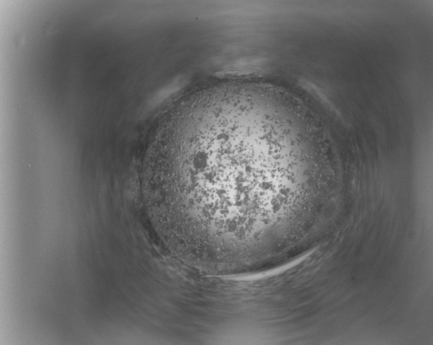 X0000058831350200510071810