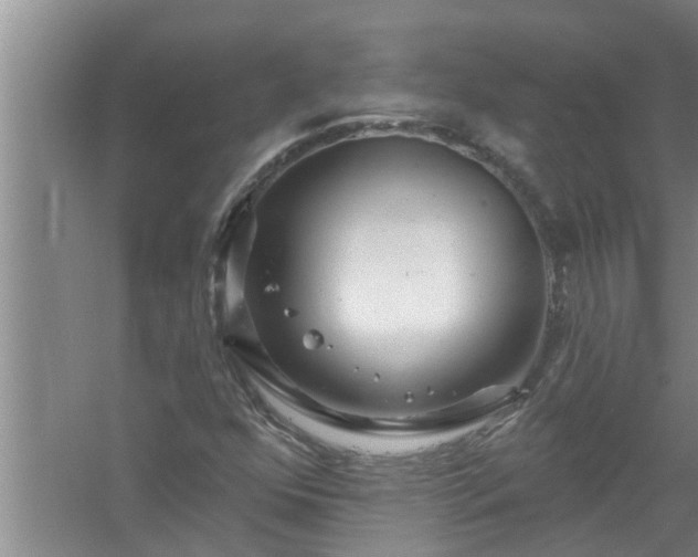 X0000058831352200510071810