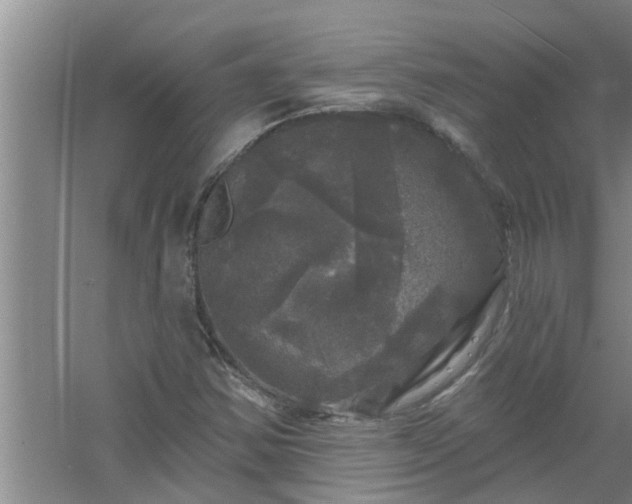 X0000058831354200510071810