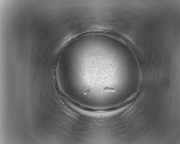 X0000058831355200510071810