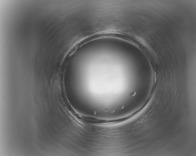 X0000058831356200510071810