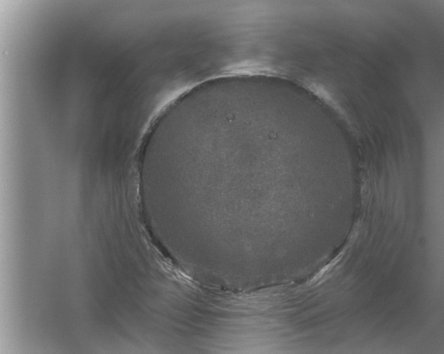 X0000058831358200510071810